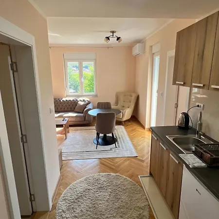 Vrnjacka View Apartment *