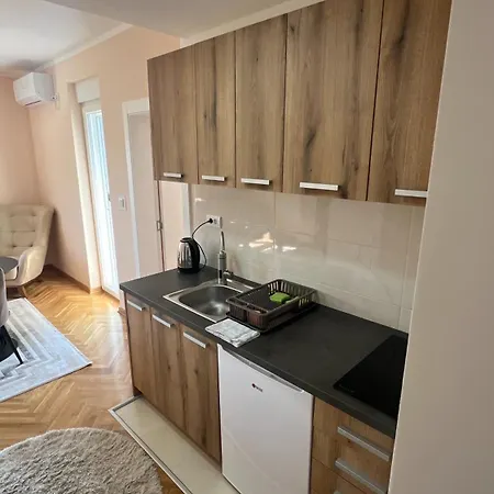 Apartament Vrnjacka View *