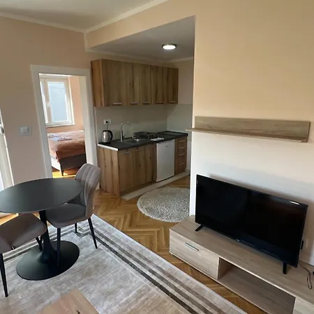 公寓 Vrnjacka View Vrnjačka Banja