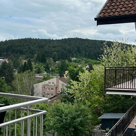 Vrnjacka View Apartament Vrnjačka Banja