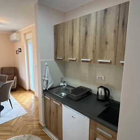 Vrnjacka View Apartment