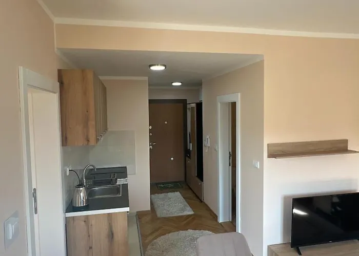 公寓 Vrnjacka View Vrnjačka Banja