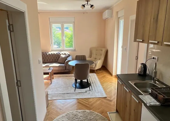 Vrnjacka View 公寓 *