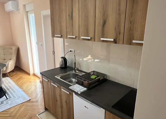 公寓 Vrnjacka View *