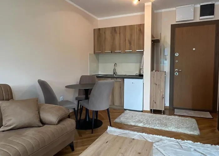 Vrnjacka View 公寓 Vrnjačka Banja