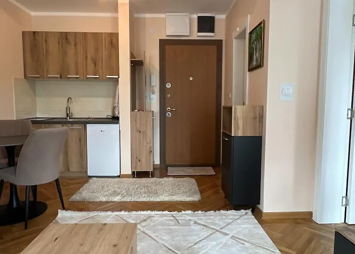 公寓 Vrnjacka View