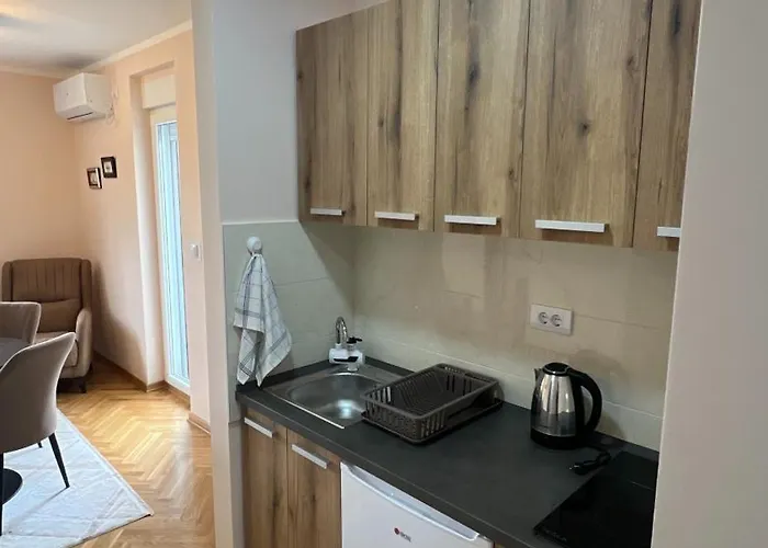 Vrnjacka View 公寓